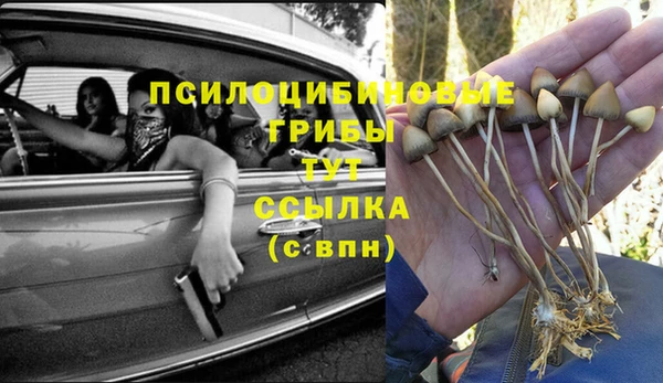 дурь Алзамай