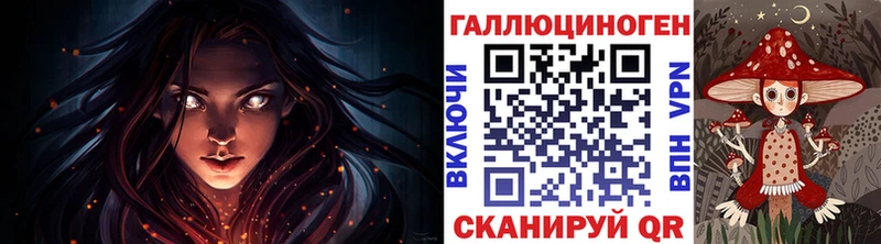 Псилоцибиновые грибы GOLDEN TEACHER  дарнет шоп  Красноармейск 