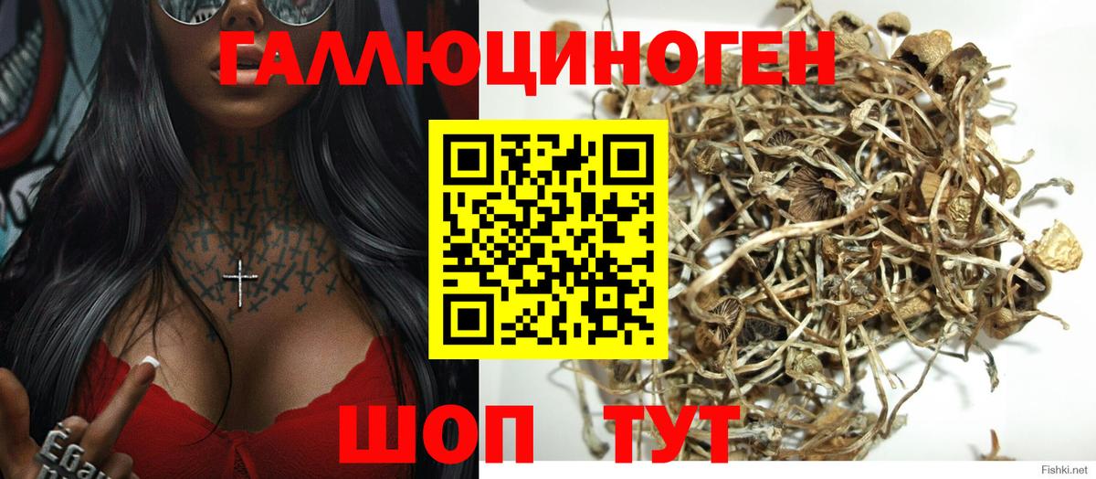 Псилоцибиновые грибы мухоморы  Вход с VPN  Псилоцибиновые грибы MAGIC MUSHROOMS  Красноармейск 